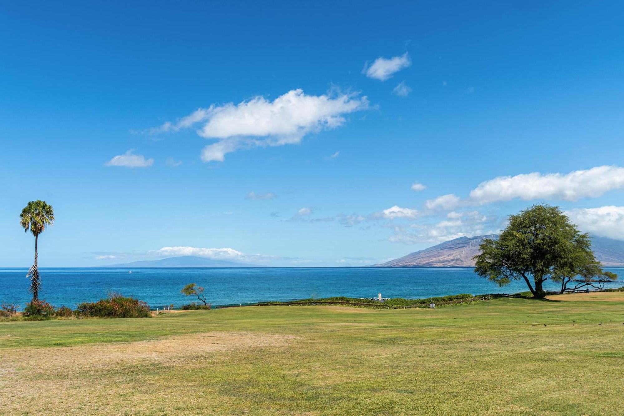 Maui Kamaole H-101 Daire Wailea  Dış mekan fotoğraf