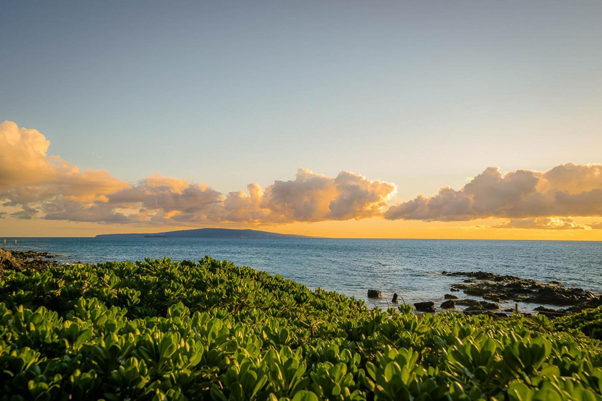 Maui Kamaole H-101 Daire Wailea  Dış mekan fotoğraf