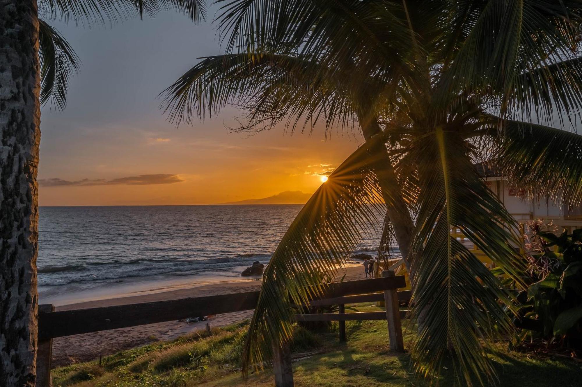 Maui Kamaole H-101 Daire Wailea  Dış mekan fotoğraf
